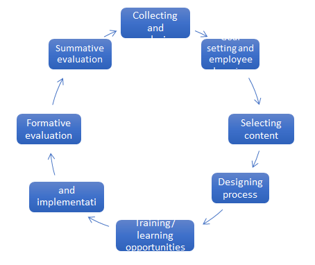 Staff Development Programmes Its Necessity For Quality Patient Care